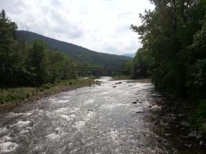 Maybe I could go tubing down the Esopus Creek in Phoenicia, NY, on July 2, 2015.