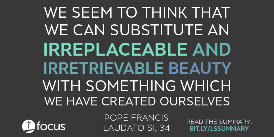 laudato si