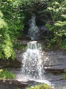 Howard and Marge said that the waterfalls were dry a few months ago. It took a few storms to get these beautiful waterfalls.