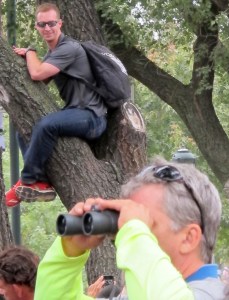 Joel Ament had climbed up this tree for Pope Francis' arrival at the Ben Franklin Parkway in Philadelphia on Sept. 27, 2015.